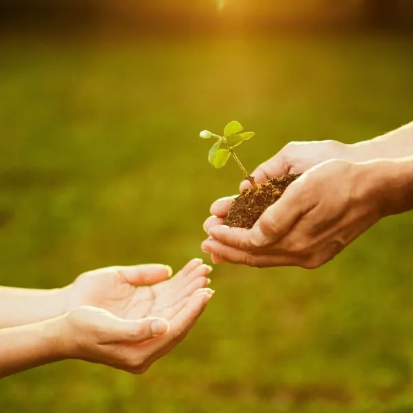 Who we are - hopesbrandbuilders